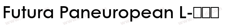 Futura Paneuropean L字体转换